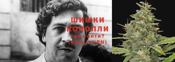 тгк Белокуриха