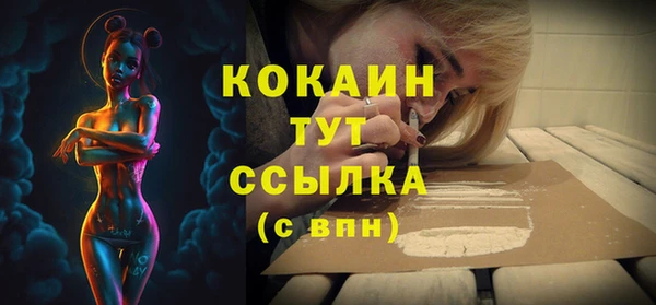 шишки Беломорск