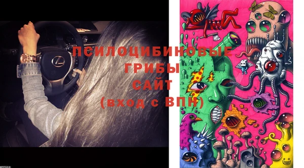 шишки Беломорск