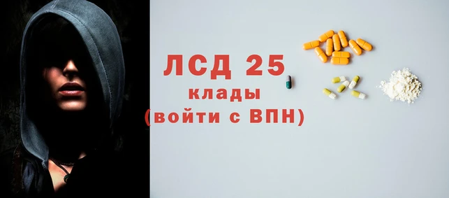 шишки Беломорск