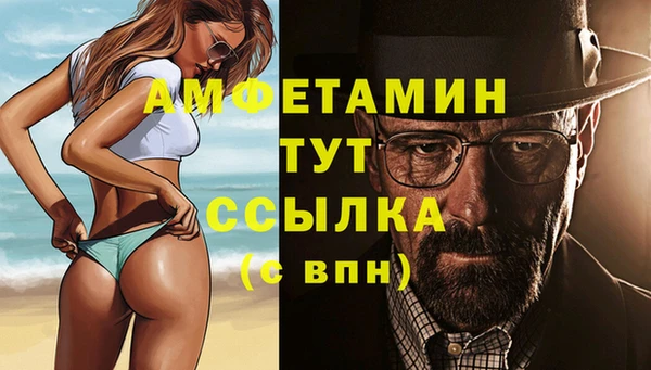 шишки Беломорск
