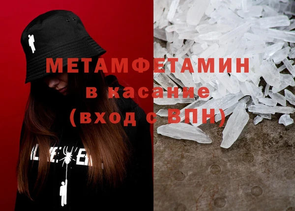 шишки Беломорск