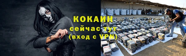 тгк Белокуриха